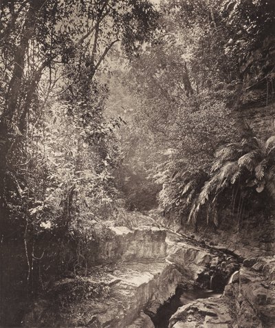 Un paso de montaña en la isla de Formosa de John Thomson